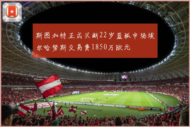 斯图加特正式买断22岁蓝狐中场埃尔哈努斯交易费1850万欧元