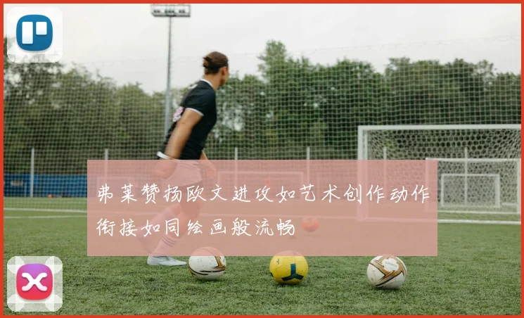 弗莱赞扬欧文进攻如艺术创作动作衔接如同绘画般流畅