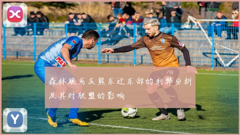 森林狼或灰熊东迁东部的利弊分析及其对联盟的影响