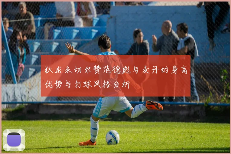 狄龙米切尔赞范德彪与麦丹的身高优势与打球风格分析